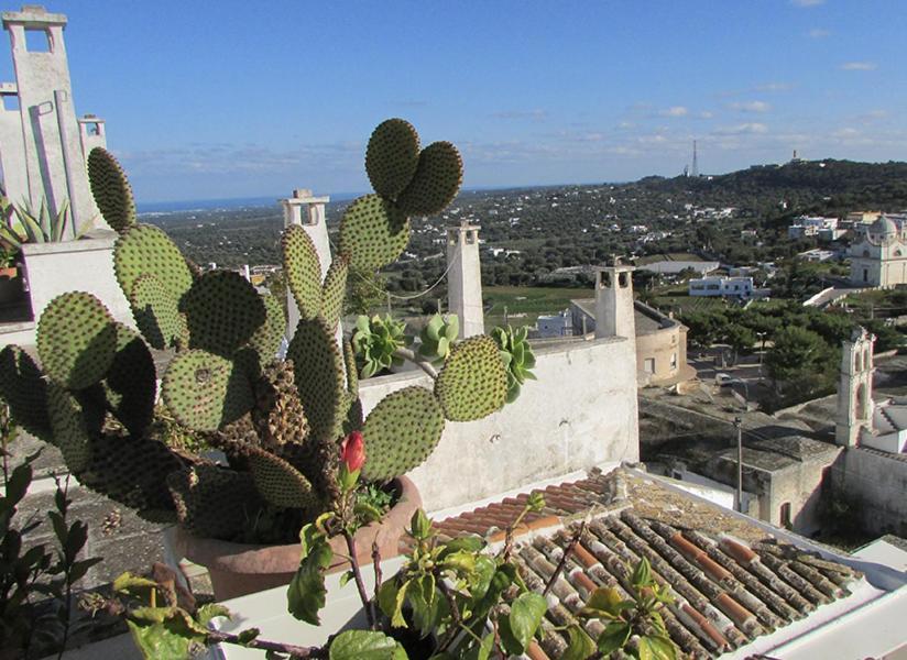 Holiday home Portadamare, Luxury With Mini Pool And Panoramic Terrace Ostuni
